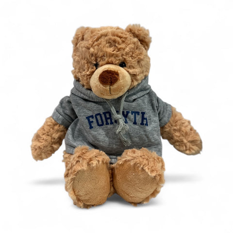 Teddy Bear w/ Hoodie